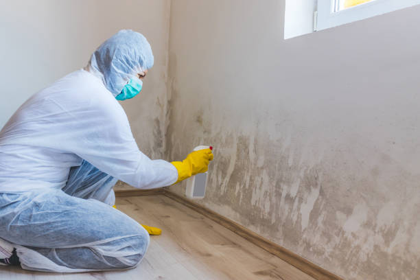 Mold Remediation specialist working in Newburg